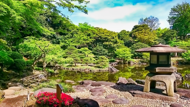 النباتات في الحديقة النباتية في اليابان